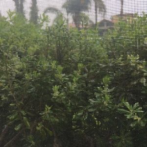 Meet your Posher, Judith